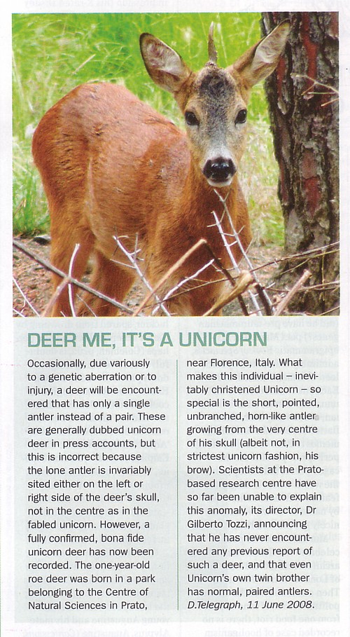 Courtesy of the Fortean Times