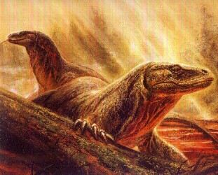 The Dragons of Spring Place