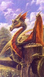 North-eastern Field Dragon