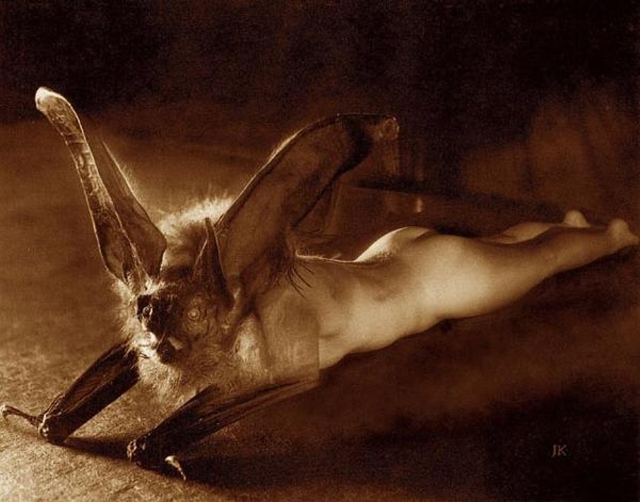 Click for larger image