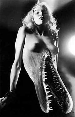 Click for larger image