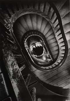 Click for larger image