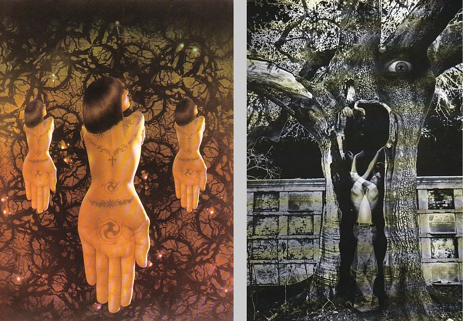 Click for larger image