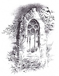 Illustration by Bruce Pennington