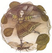 Click for larger image